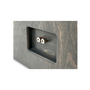 Close-up of the back of a Basshead Supply American Bass Dual 15" King Ported Enclosure, featuring two metal binding posts—one red and one black—mounted in a rectangular recessed panel.